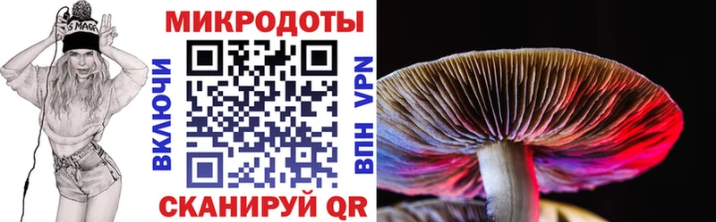 закладки  Лыткарино  Псилоцибиновые грибы Psilocybine cubensis 