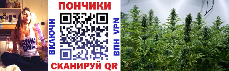наркотики Лыткарино мега маркетплейс МАРИХУАНА MAZAR